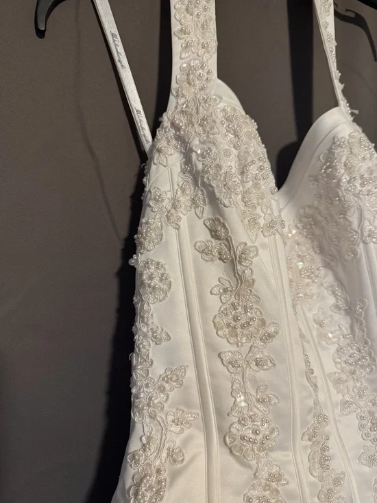 David’s Bridal Ballgown Wedding Dress - Picture 4 of 16